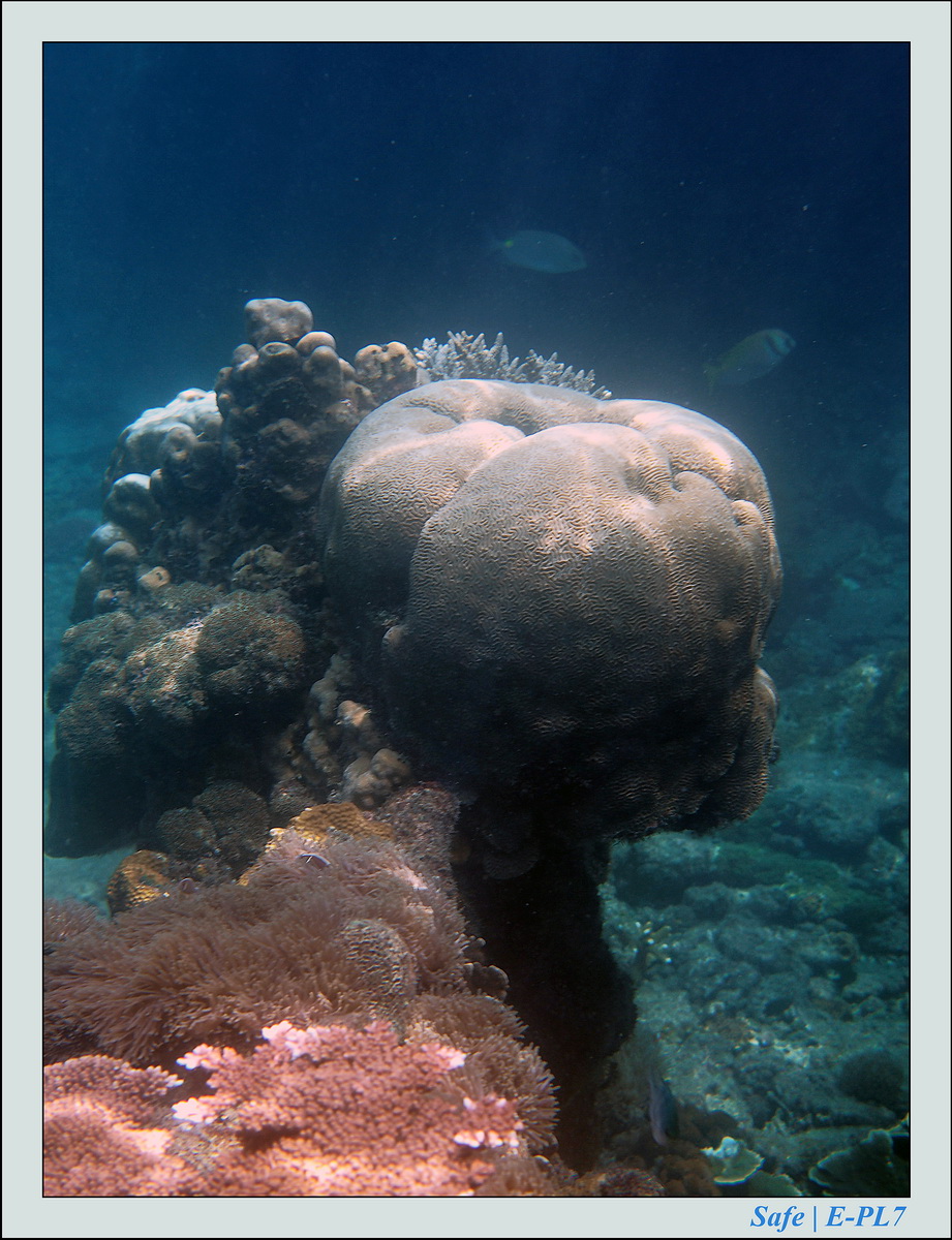 2015   07   Peranthian Islands 10